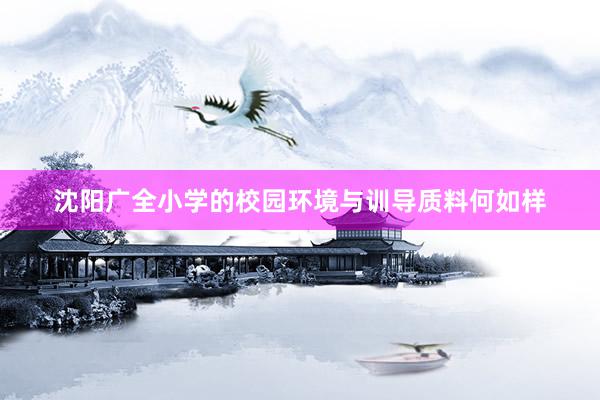 沈阳广全小学的校园环境与训导质料何如样