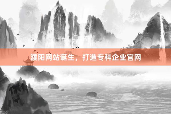 濮阳网站诞生，打造专科企业官网