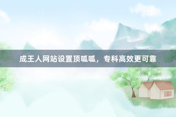 成王人网站设置顶呱呱，专科高效更可靠