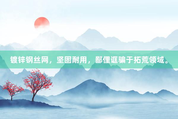 镀锌钢丝网，坚固耐用，鄙俚诓骗于拓荒领域。