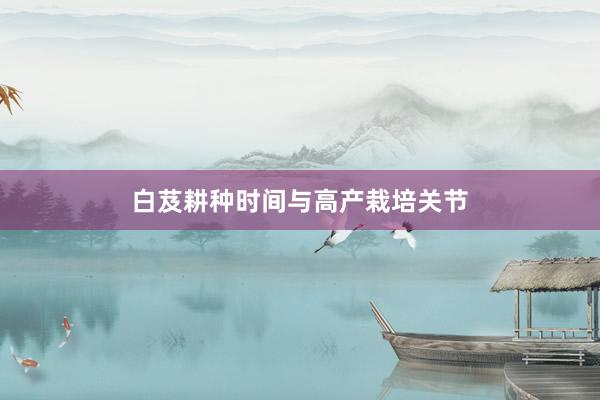 白芨耕种时间与高产栽培关节