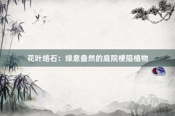 花叶络石：绿意盎然的庭院梗阻植物